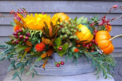 RECOLTE DE CITROUILLE