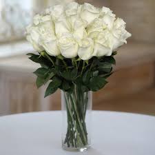 24 ROSES ROUGES
