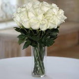 24 ROSES ROUGES