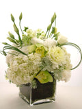 BLANCO BLANCO / DISPONIBLE AUSSI EN ROUGE