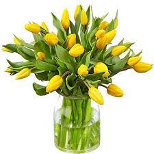 TULIPES ENSOLEILLÉES / 40 tiges